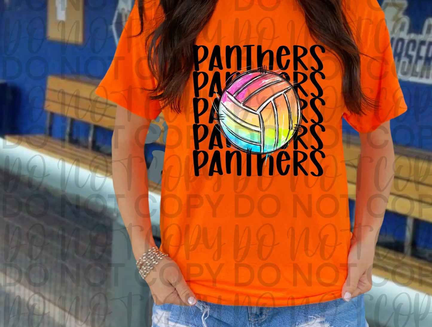 Panther Colorful Volleyball - Branded By Barta