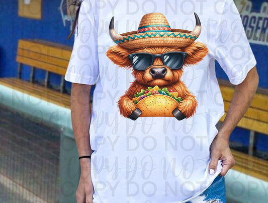 Fiesta Cow Taco