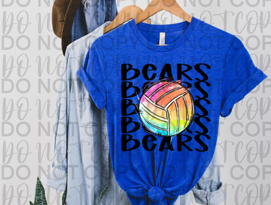 Bears Colorful Volleyball - Branded By Barta