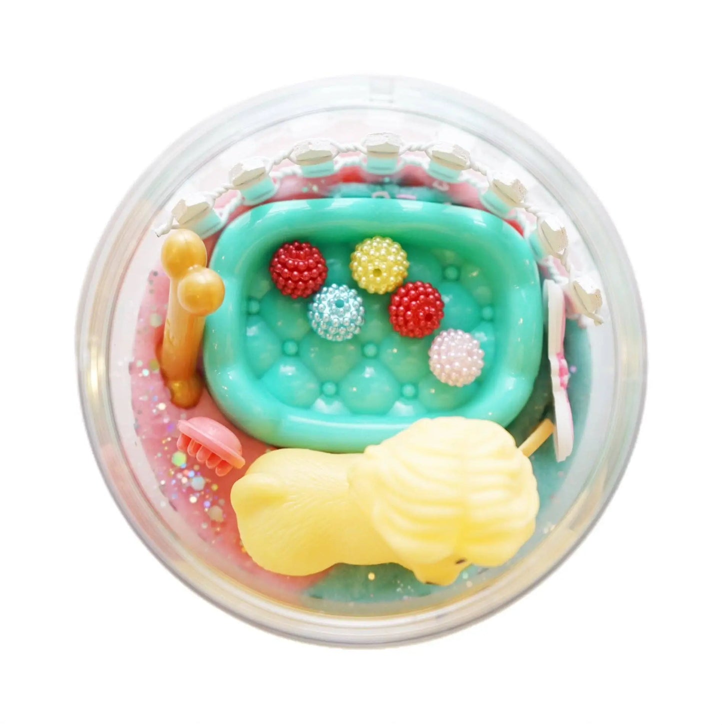 Pawsome Simply Big Jar - Branded By Barta