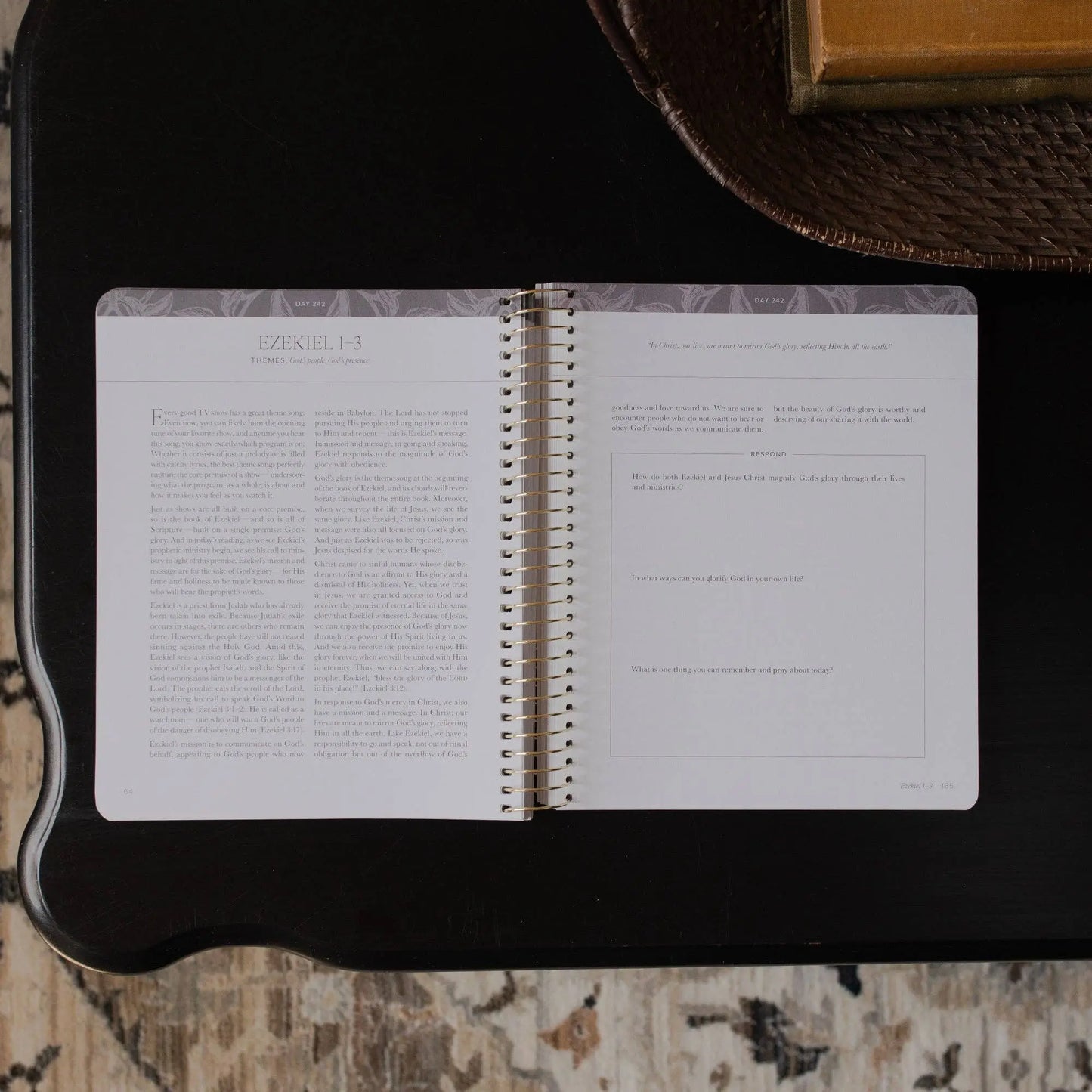 A Year in the Bible | Volume 3 Bible Study The Daily Grace Co