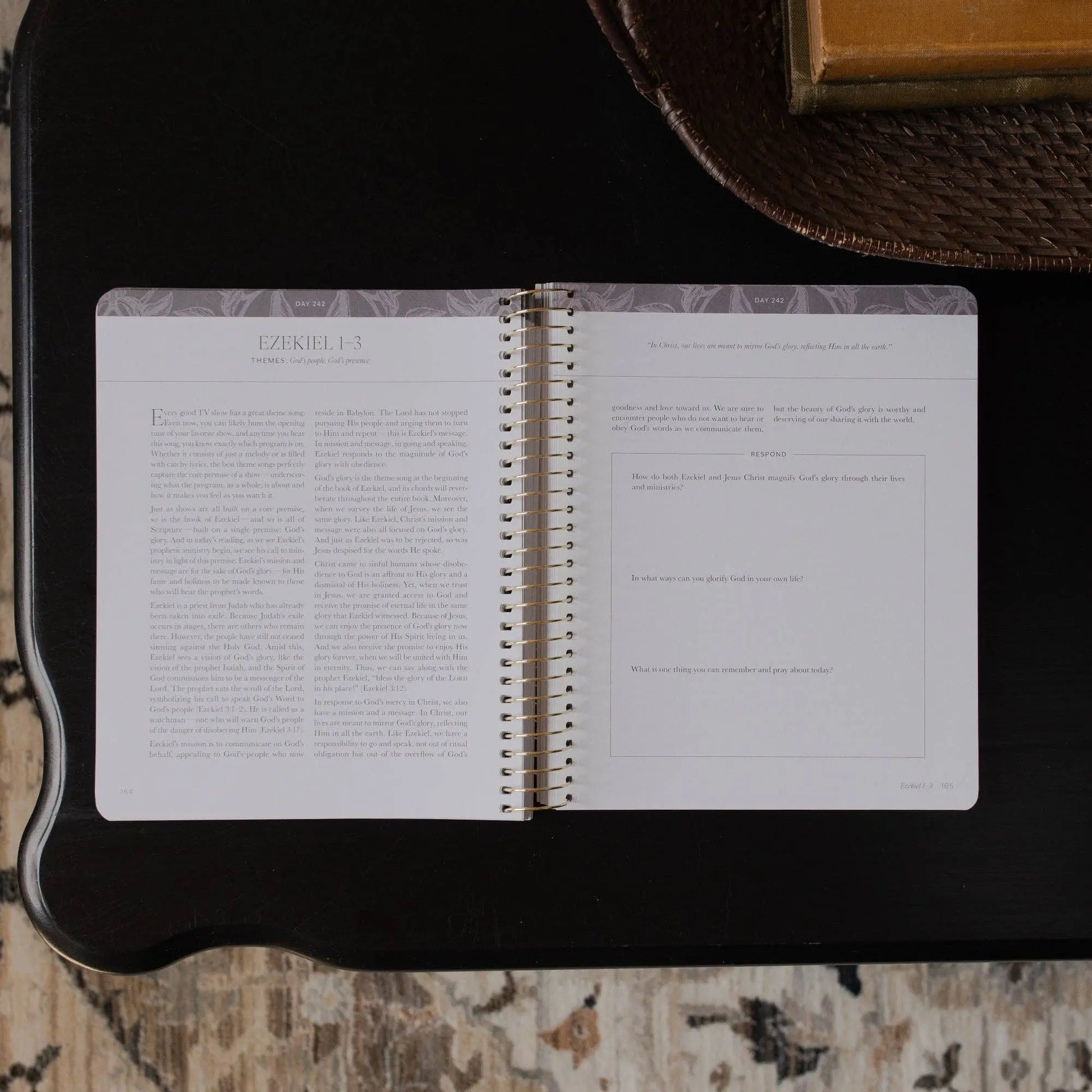 A Year in the Bible | Volume 3 Bible Study The Daily Grace Co