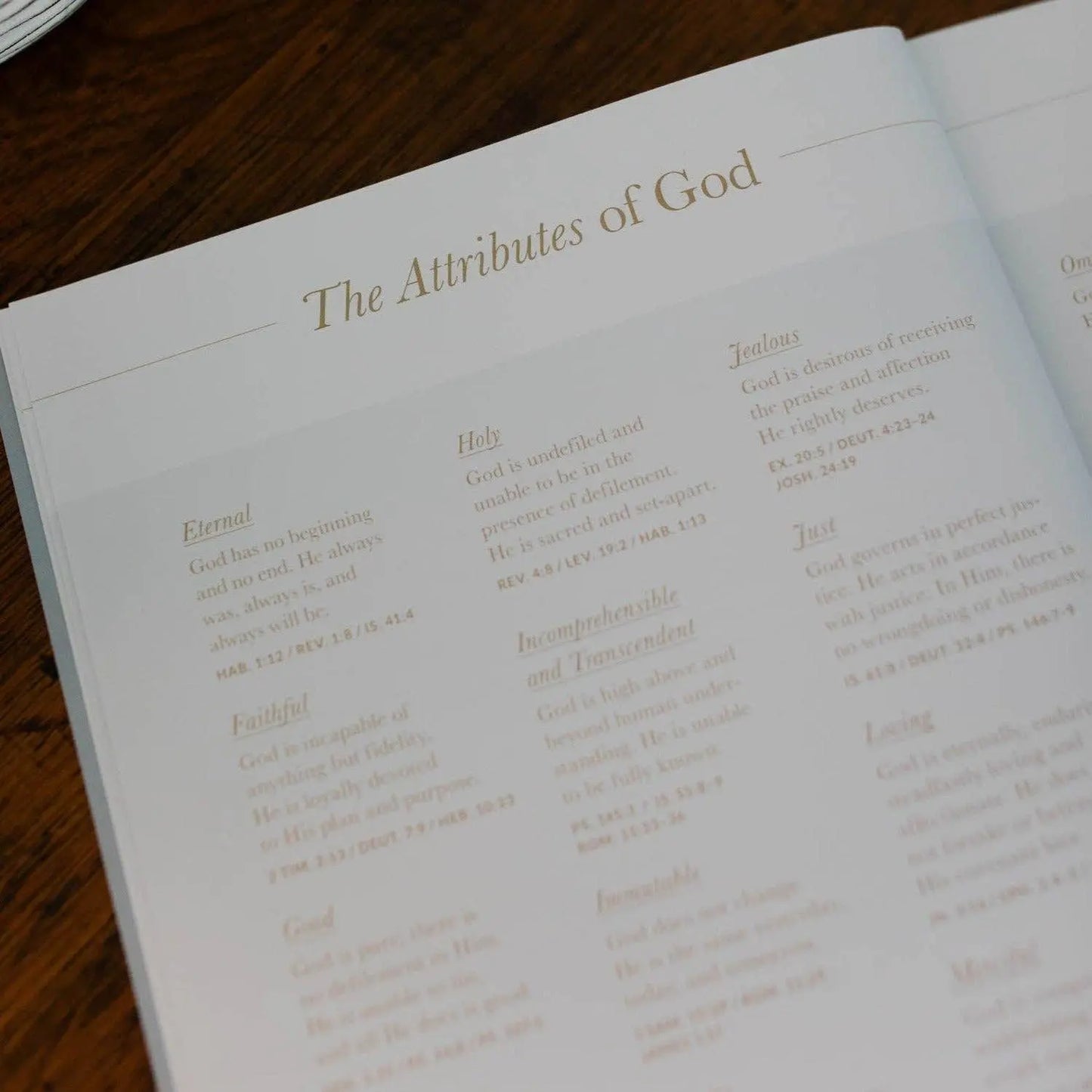 Wait Bible Study The Daily Grace Co
