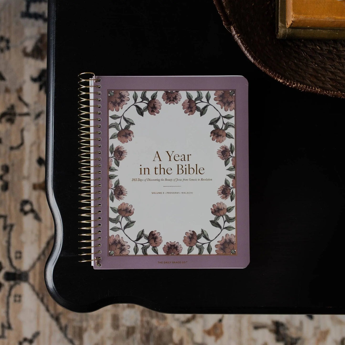 A Year in the Bible | Volume 3 Bible Study The Daily Grace Co