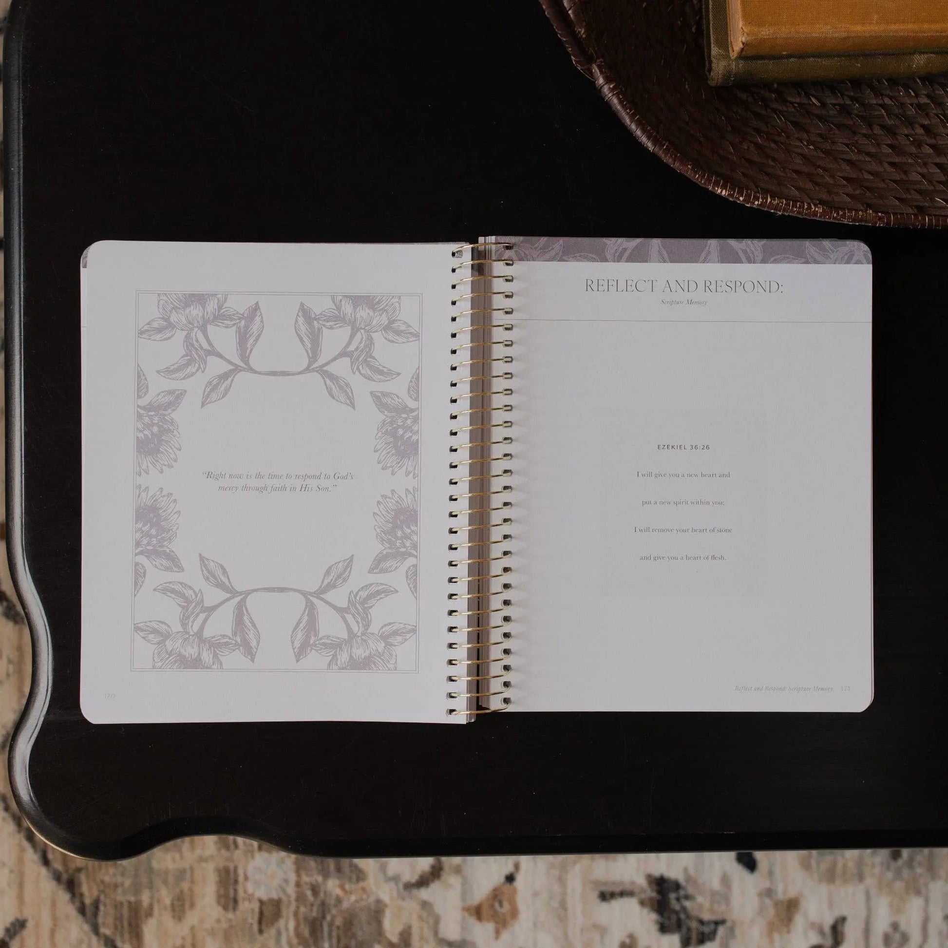 A Year in the Bible | Volume 3 Bible Study The Daily Grace Co