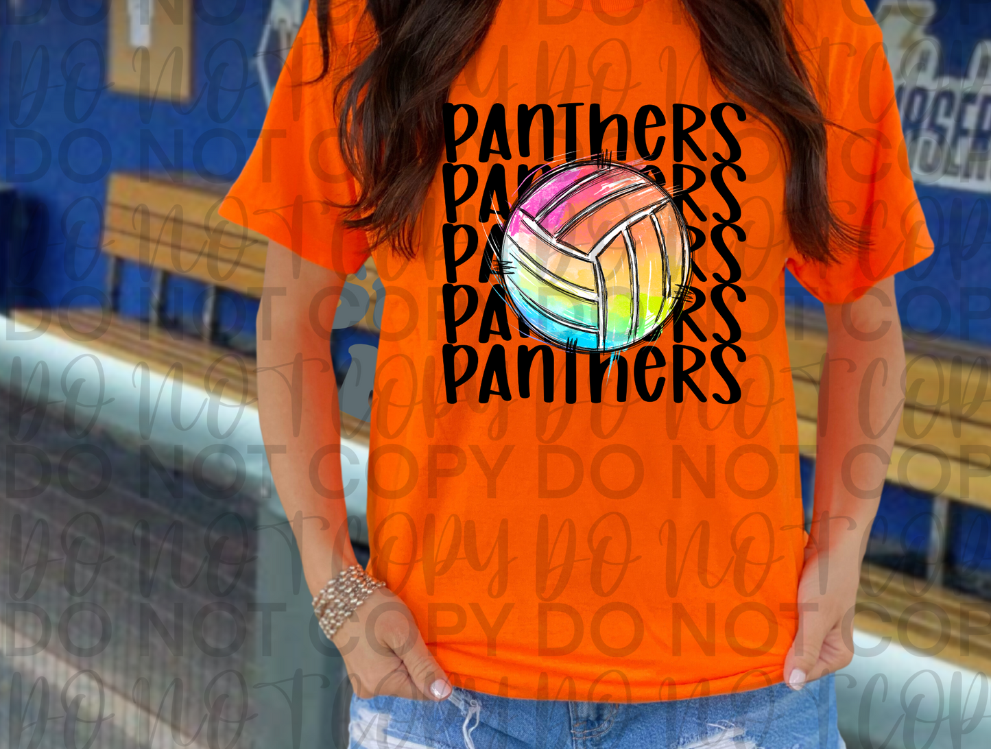 Panther Colorful Volleyball