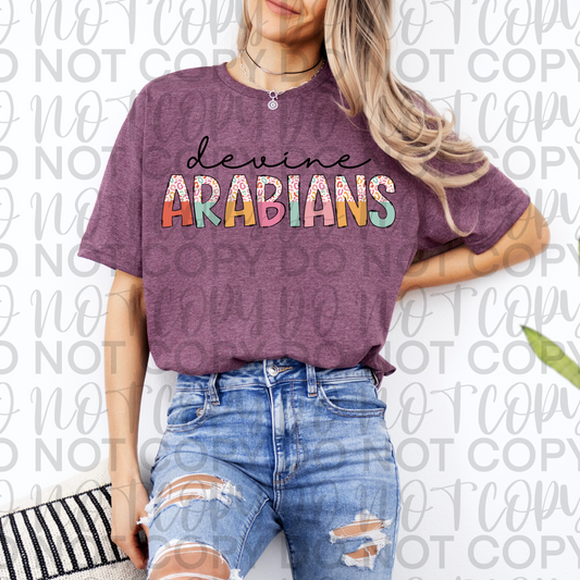 Devine Arabians Colorful Tee