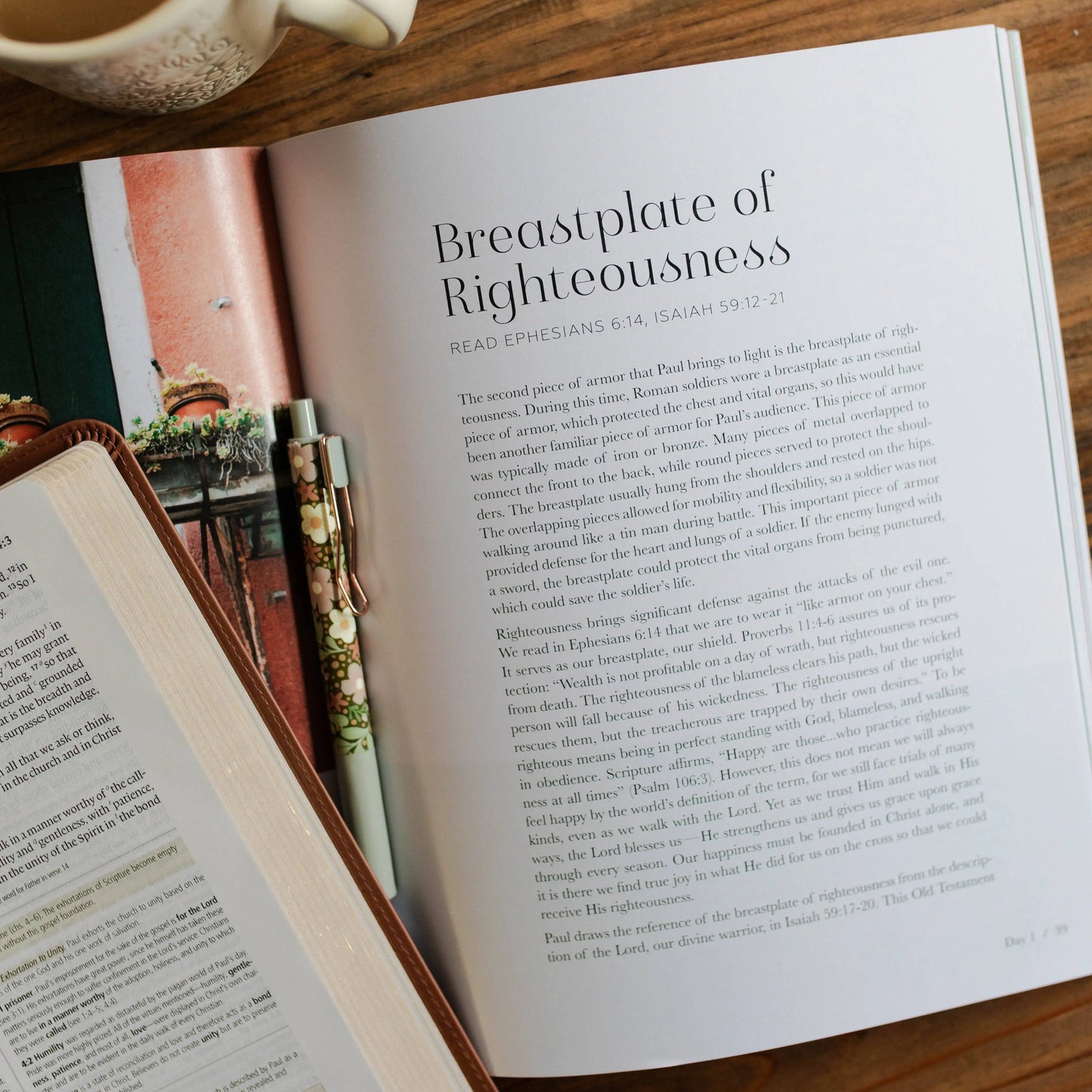 Stand Firm | Armor of God Study The Daily Grace Co