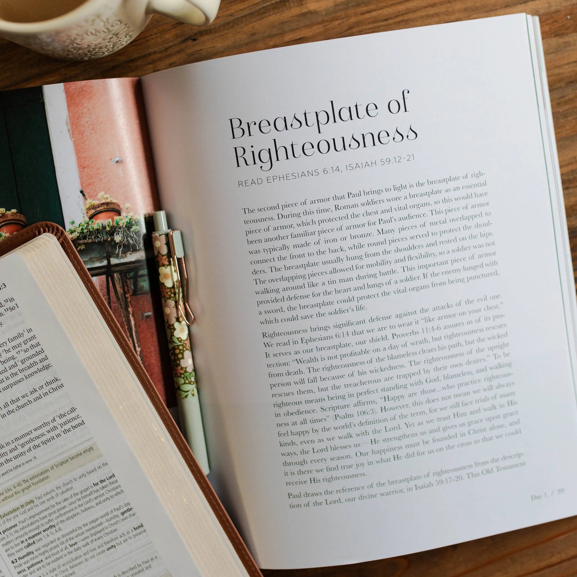 Stand Firm | Armor of God Study The Daily Grace Co