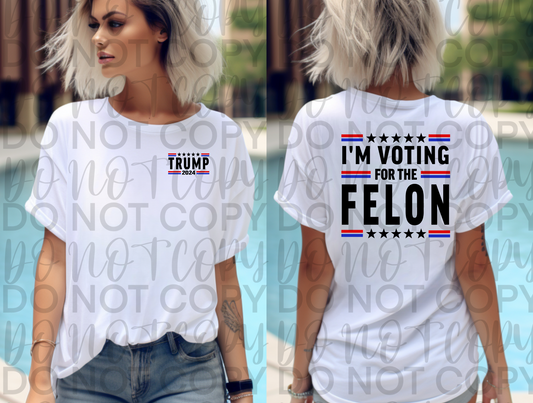 Voting For Felon