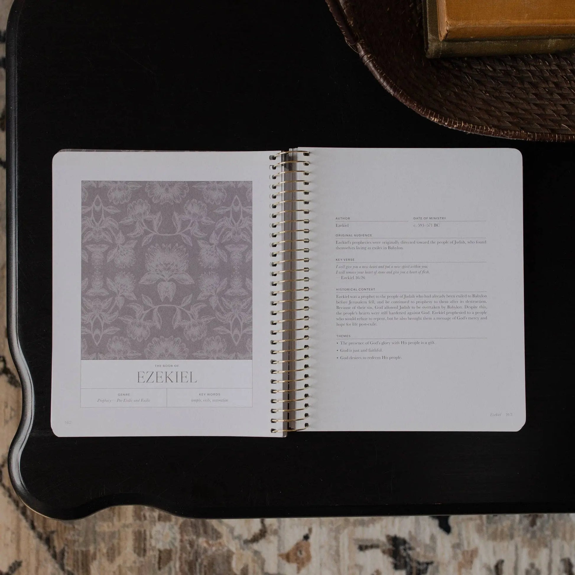 A Year in the Bible | Volume 3 Bible Study The Daily Grace Co