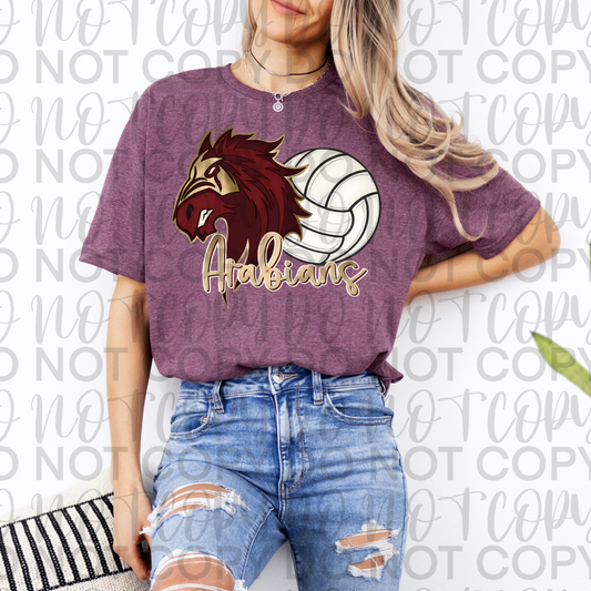 Arabians Volleyball Tee