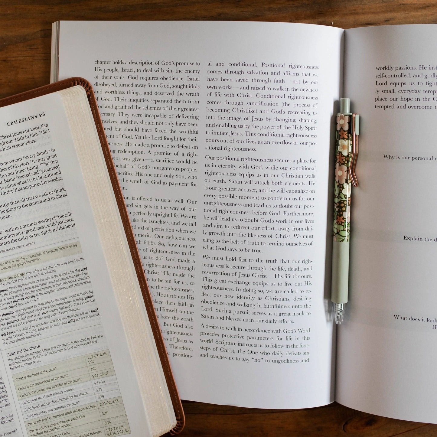Stand Firm | Armor of God Study The Daily Grace Co