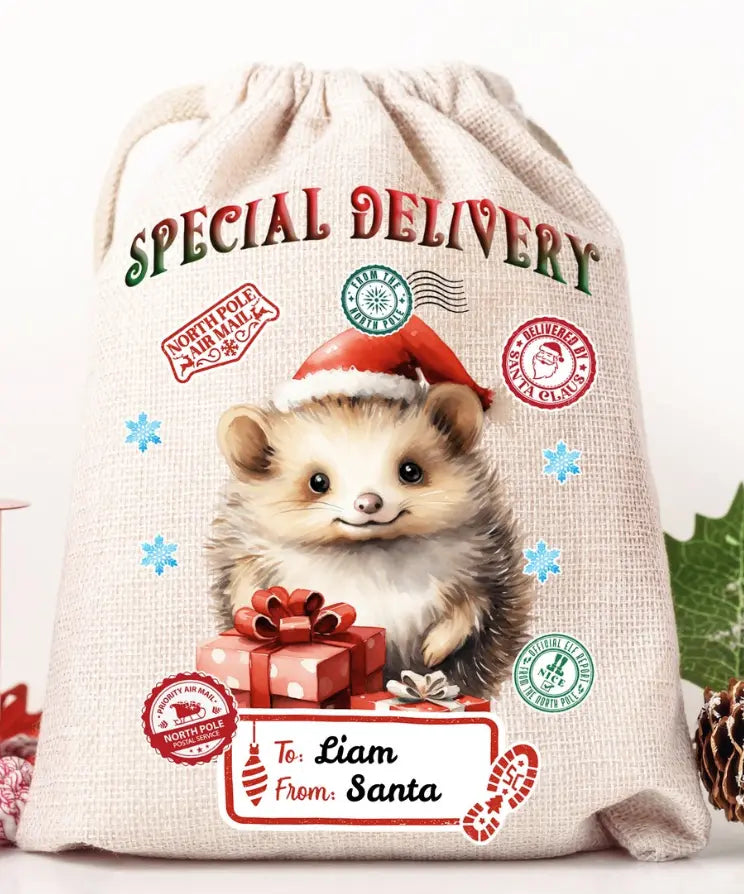 Hedgehog Santa Sack Branded By Barta