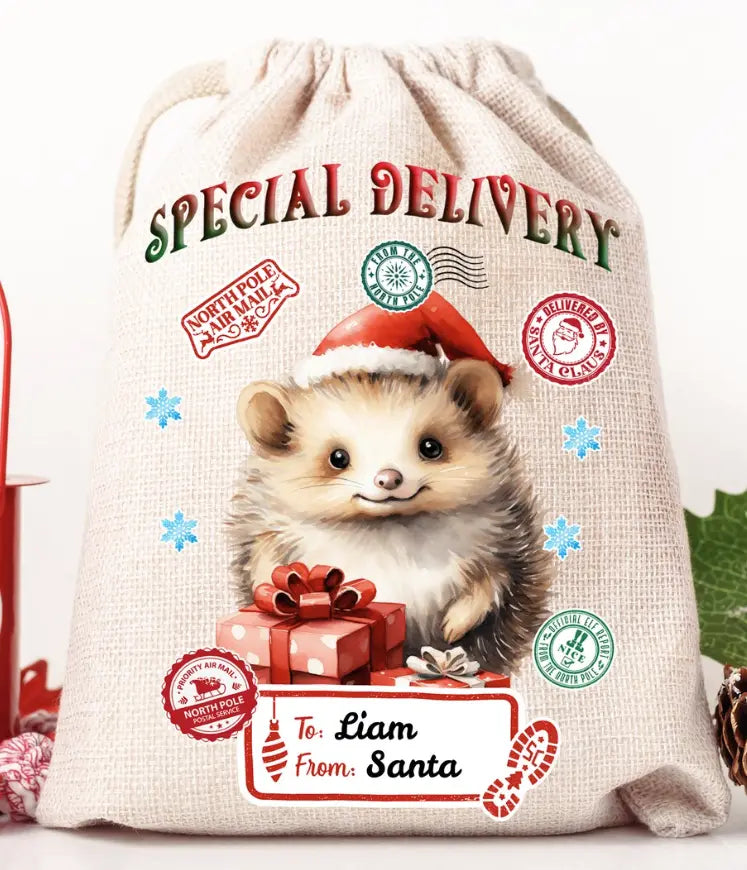 Hedgehog Santa Sack Transfer Branded By Barta