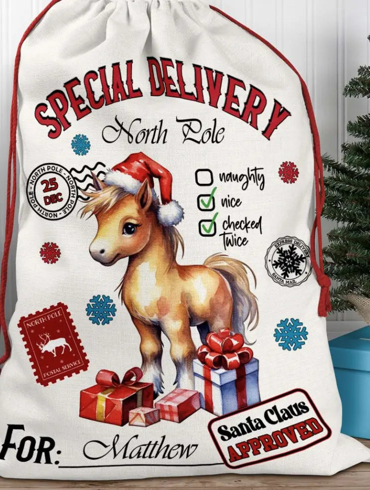 Vintage Santa Sack Transfer Branded By Barta