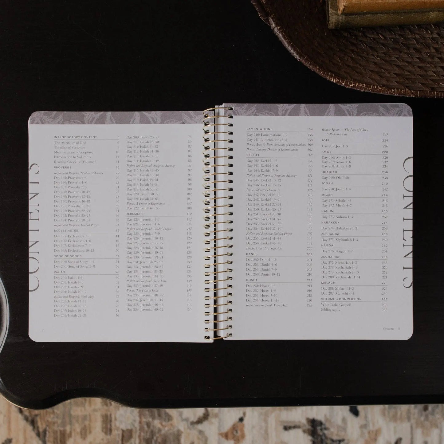 A Year in the Bible | Volume 3 Bible Study The Daily Grace Co