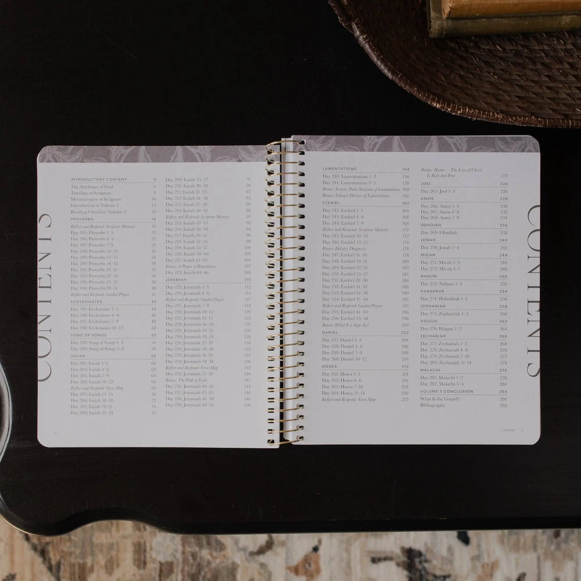 A Year in the Bible | Volume 3 Bible Study The Daily Grace Co