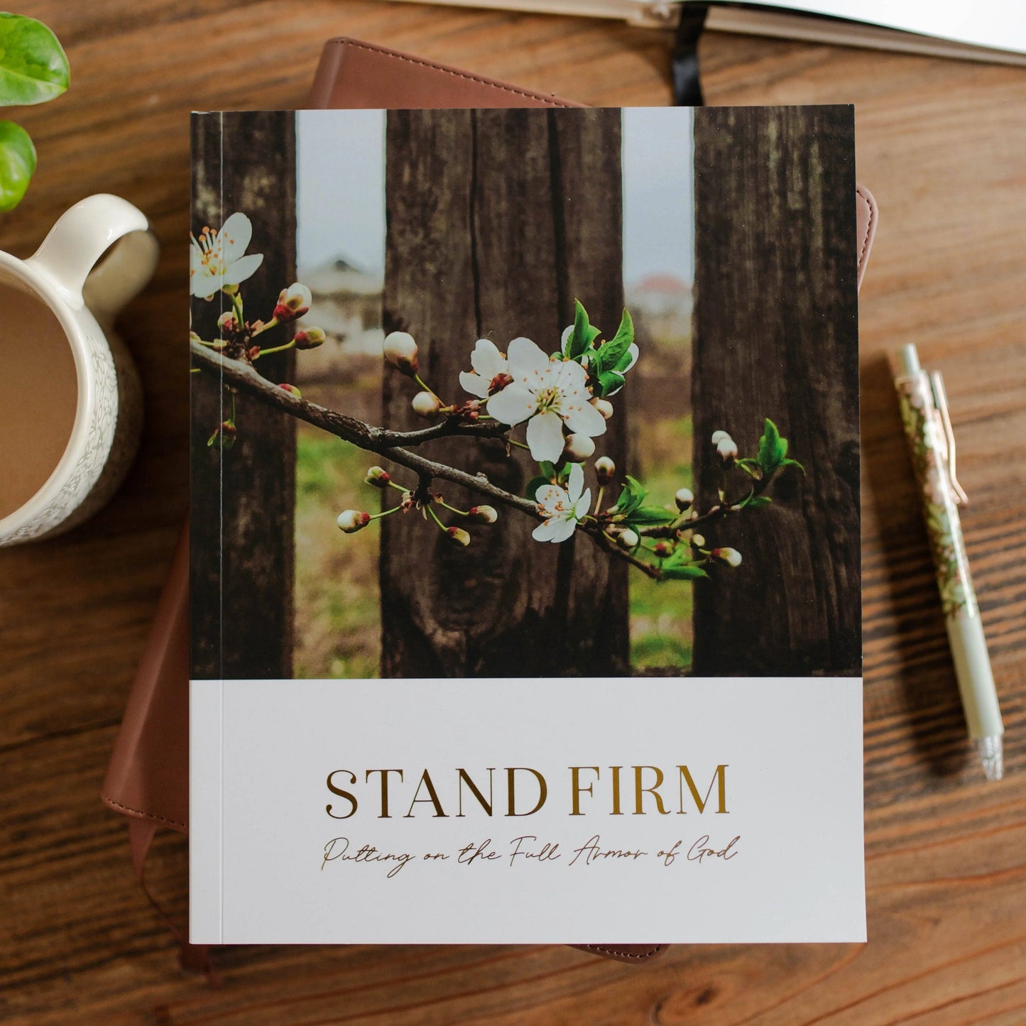 Stand Firm | Armor of God Study The Daily Grace Co