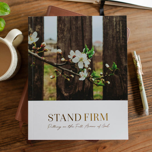 Stand Firm | Armor of God Study The Daily Grace Co