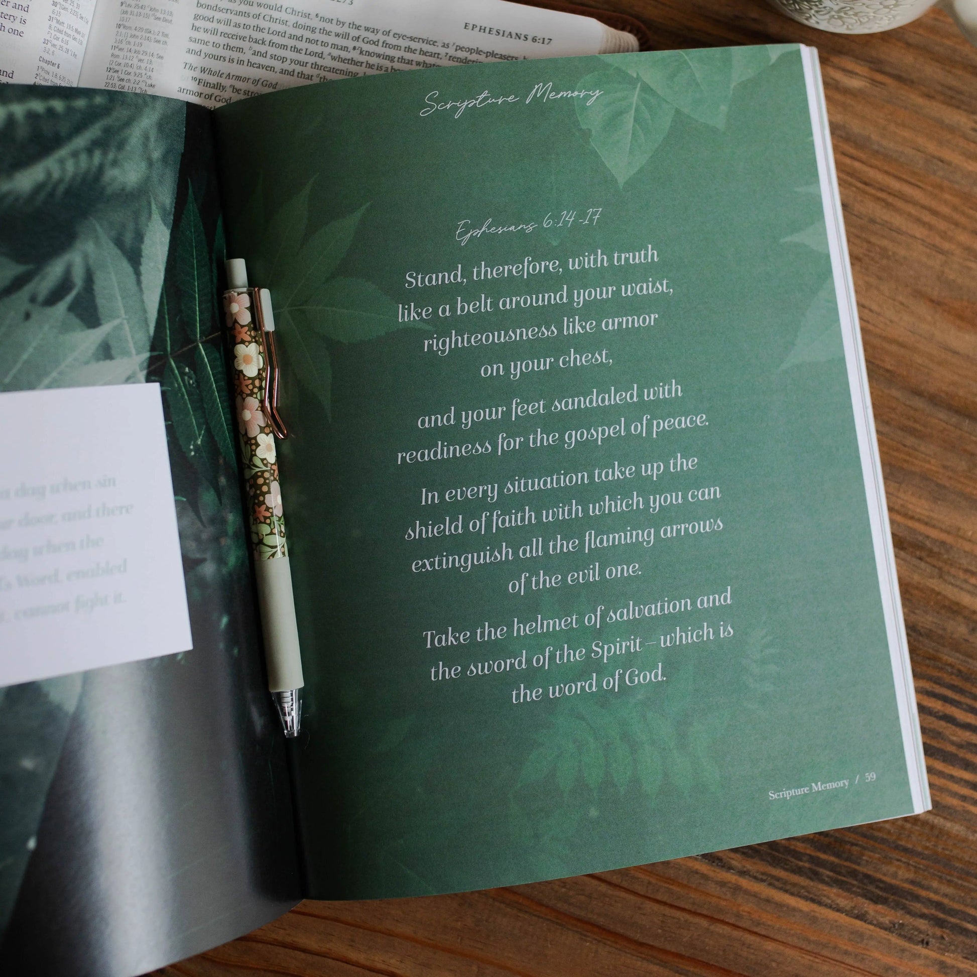 Stand Firm | Armor of God Study The Daily Grace Co