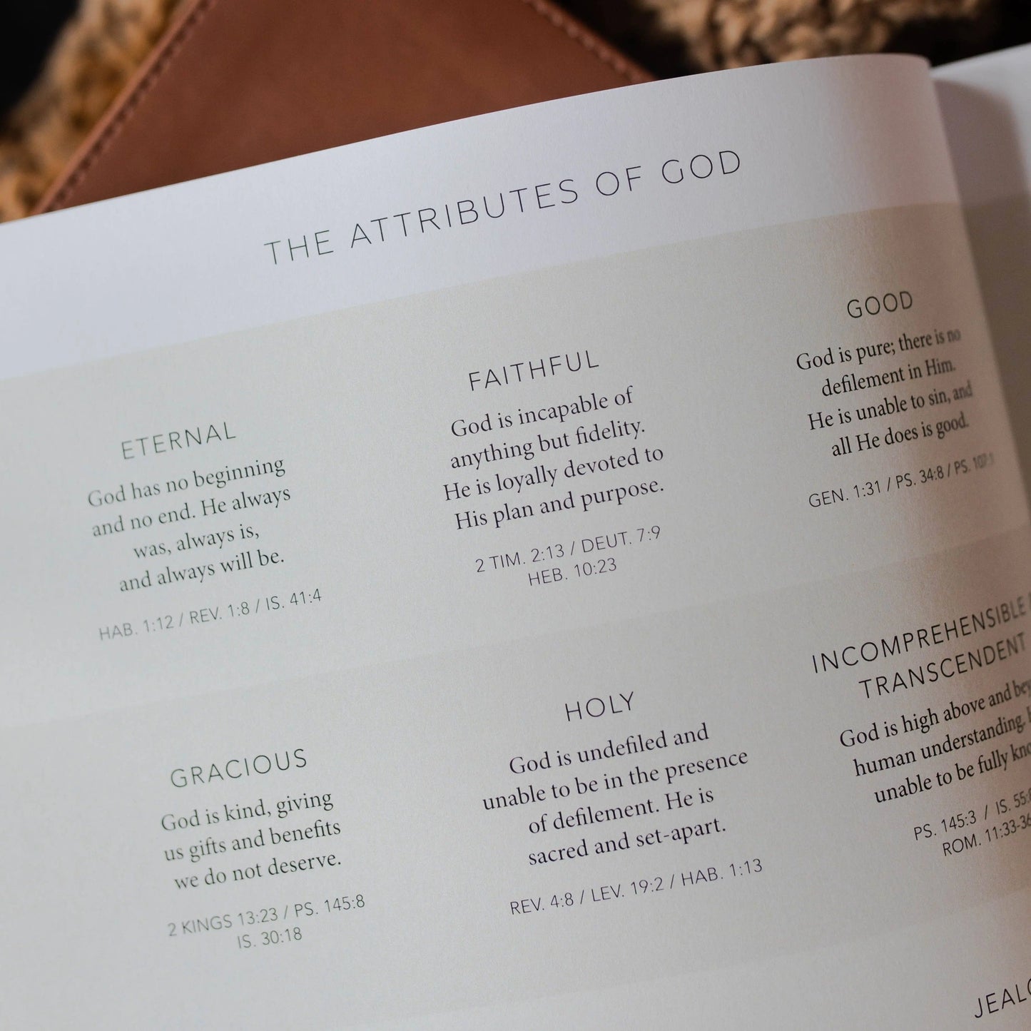 Esther | Seeing God When He Is Silent The Daily Grace Co